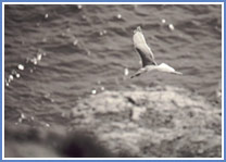 © Rainer Scheunemann - www.docma.de